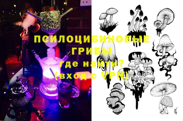 гашик Арсеньев