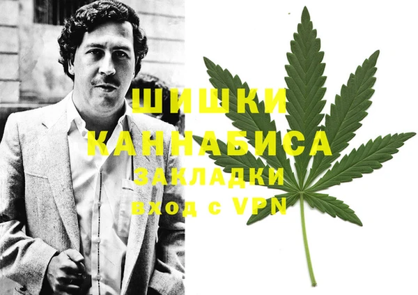 гашик Арсеньев