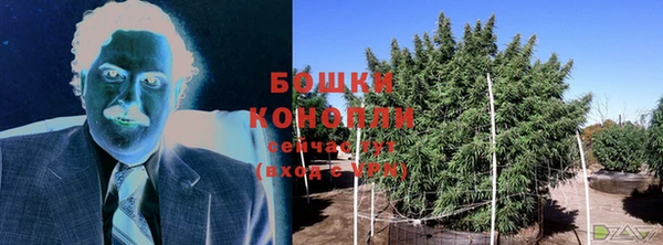 твердый Щучье
