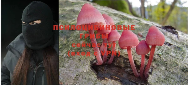 гашик Арсеньев