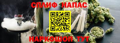 соль ск Новодвинск