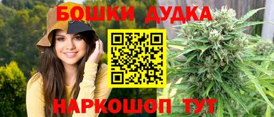 соль ск Новозыбков
