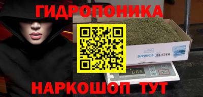 соль ск Новозыбков