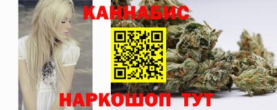 соль ск Новозыбков