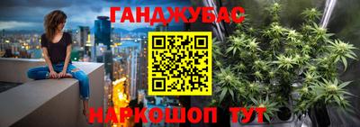 соль ск Новозыбков