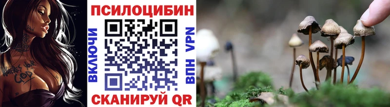 Галлюциногенные грибы Cubensis гидра ссылки Усть-Джегута