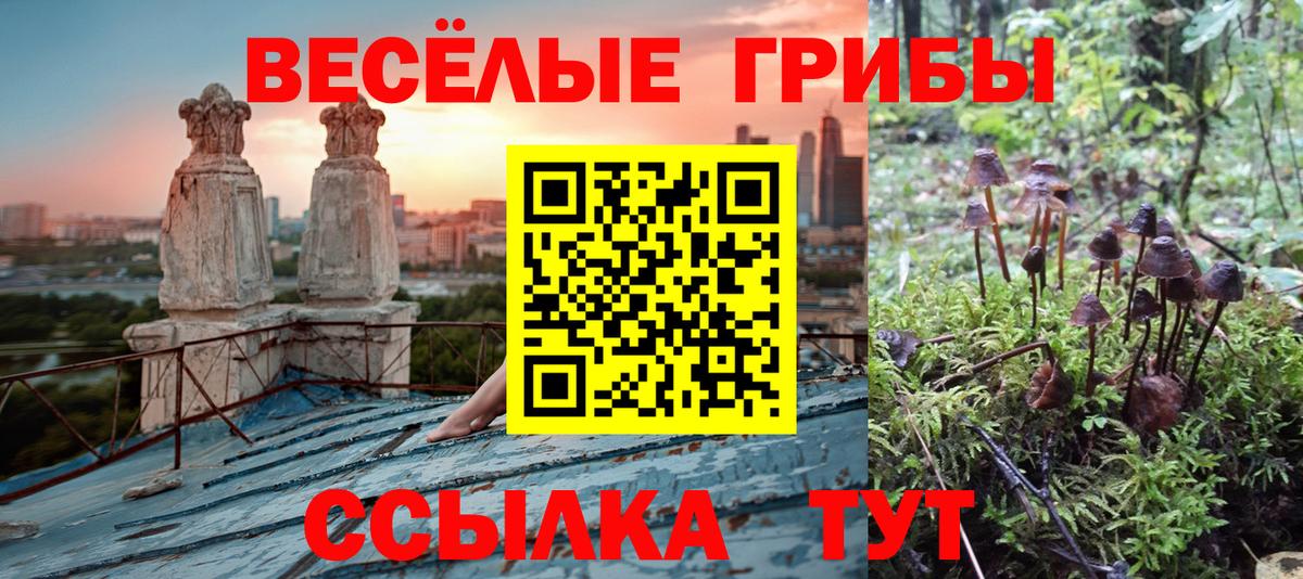 Галлюциногенные грибы мухоморы  Вход с VPN  Усть-Джегута 